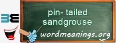 WordMeaning blackboard for pin-tailed sandgrouse